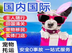 阿尔山空运代理国际宠物托运 【国